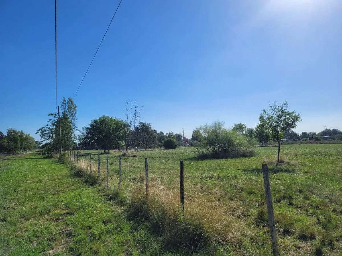 CAMPO EN VENTA LOS HORNOS HECTAREA Y 4000 M2 5