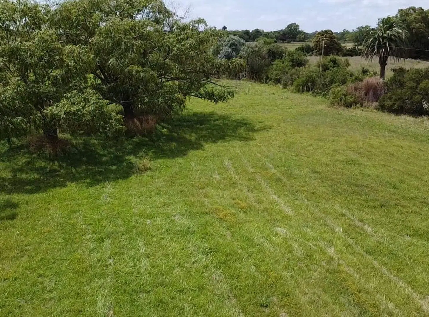CHACRA EN VENTA ATALAYA DE 2 HECTAREAS CON ARBOLES 5