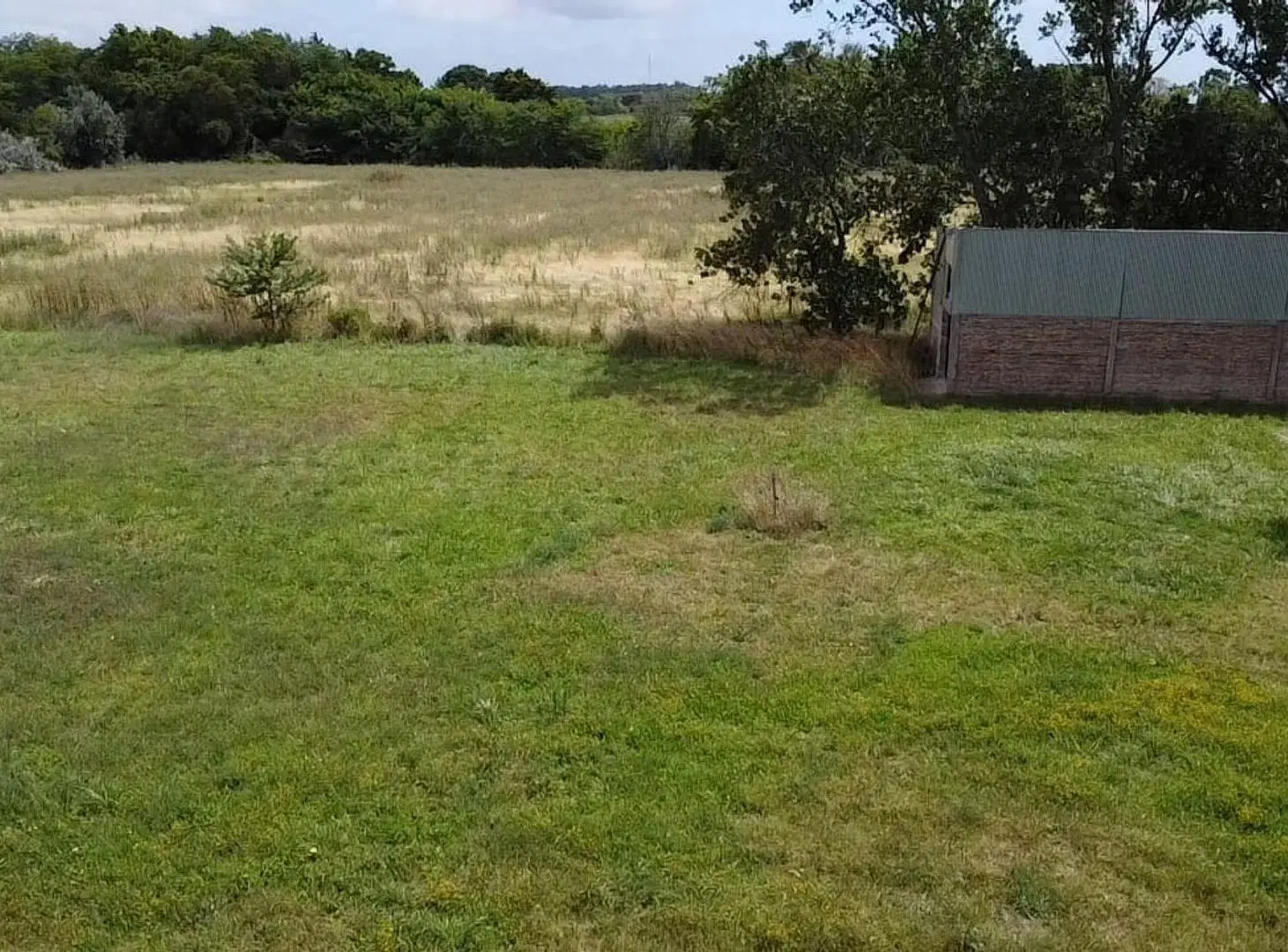 CHACRA EN VENTA ATALAYA DE 2 HECTAREAS CON ARBOLES 4