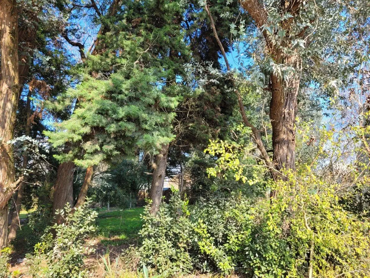 LOTE EN VENTA VILLA ELISA 5