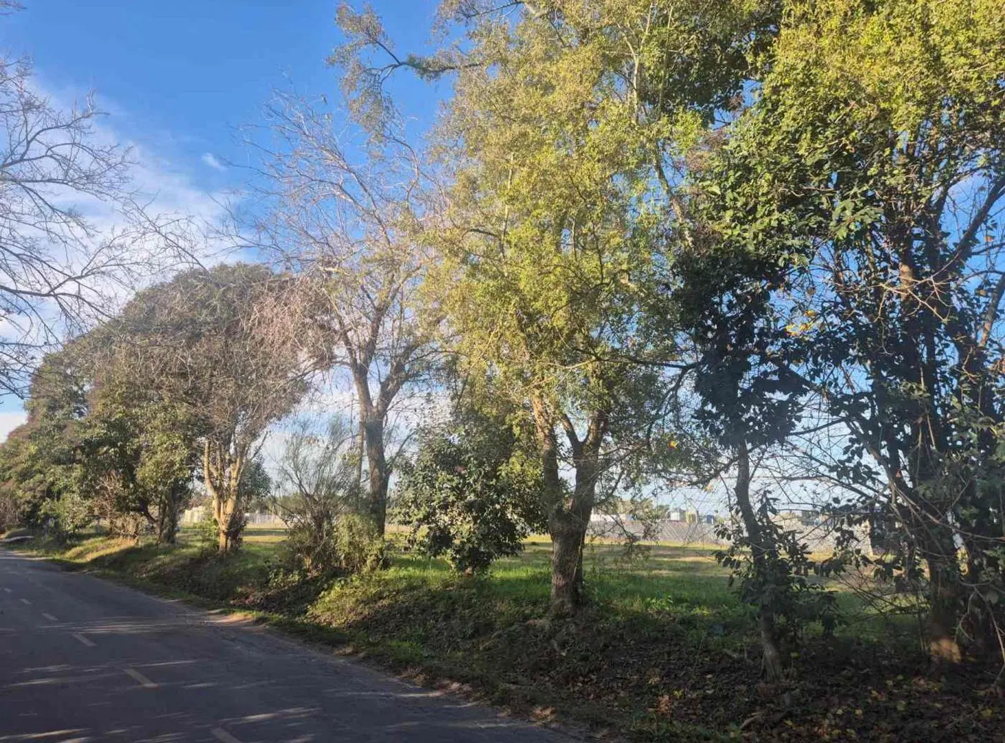 LOTE EN VENTA EN ARANA 2