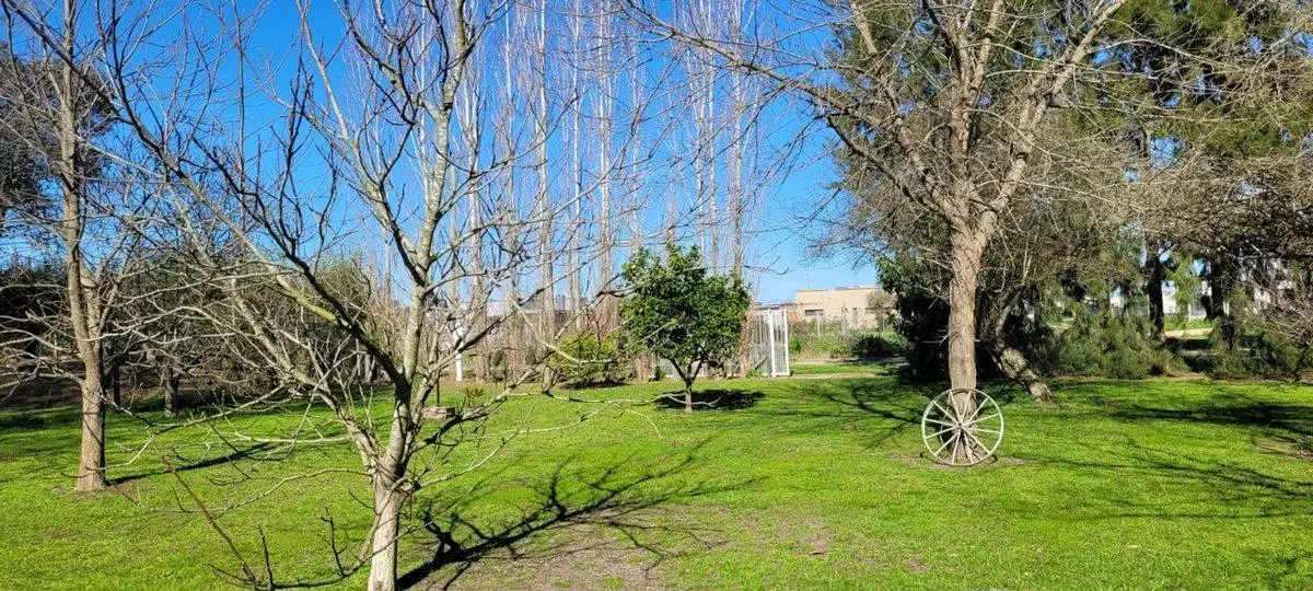 CASA EN VENTA BRANDSEN 2 AMBIENTES 3