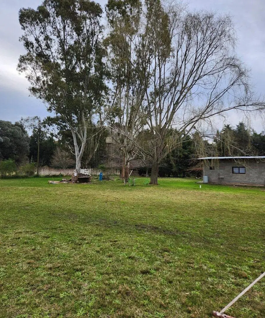 QUINTA EN VENTA ABASTO SUP. 6.050m2 4