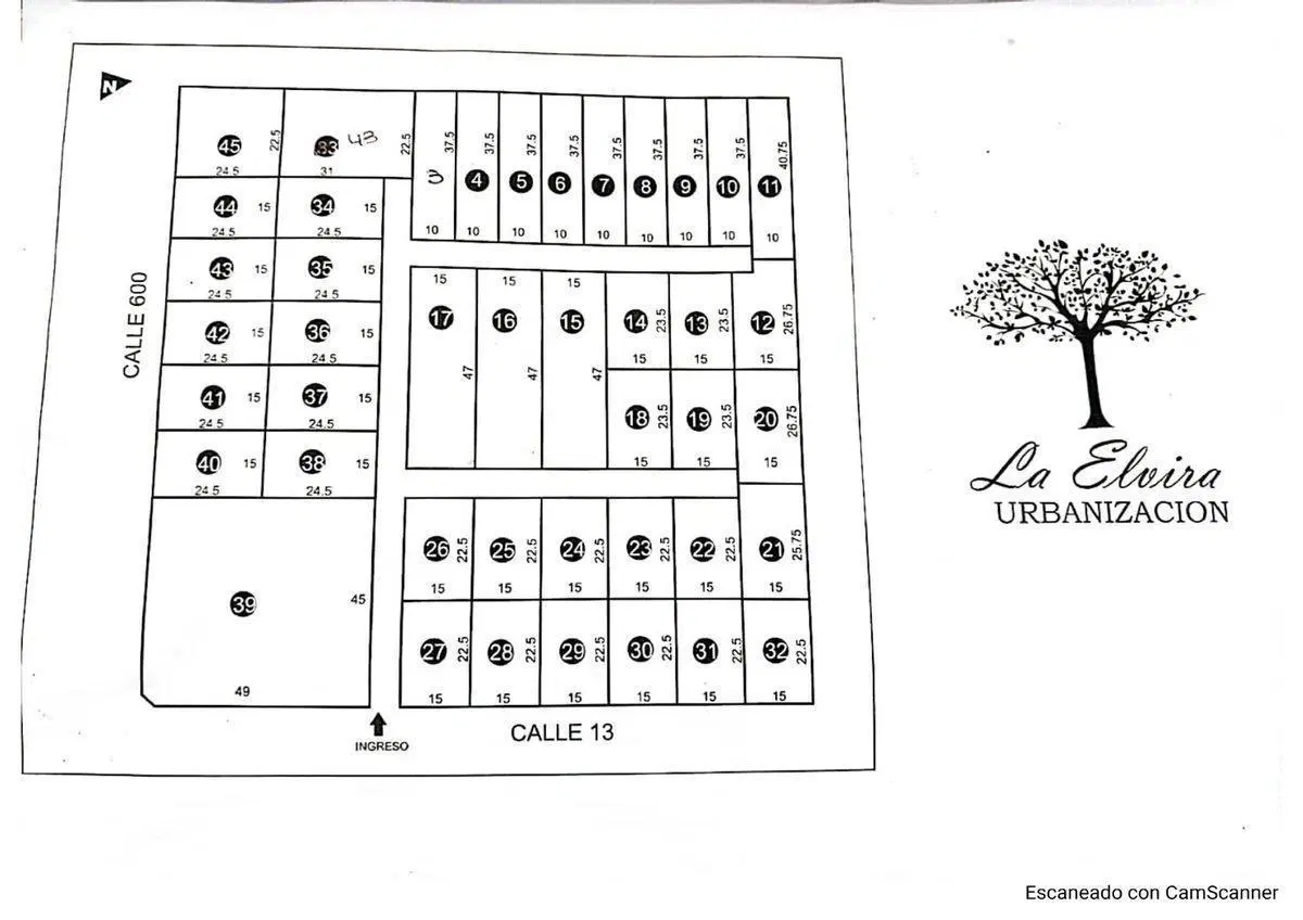 Plano 1