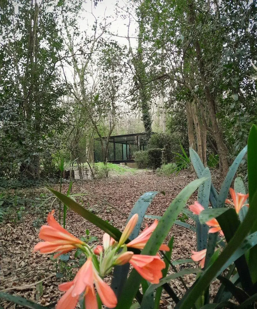 CASA VENTA BRANDSEN LOS BOSQUECITOS DE DISEÑO 2