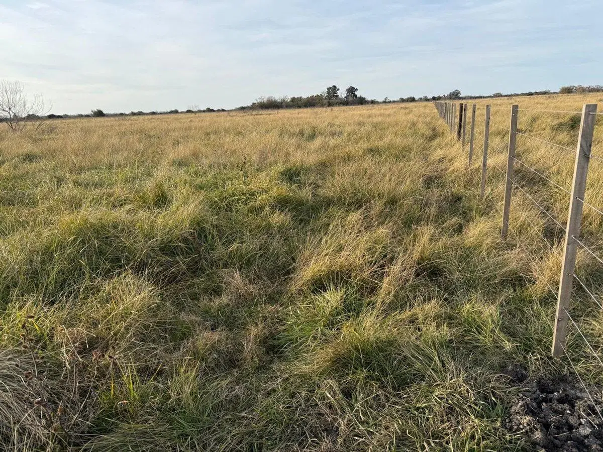VENTA DE CAMPO EN ATALAYA MAGDALENA. 5