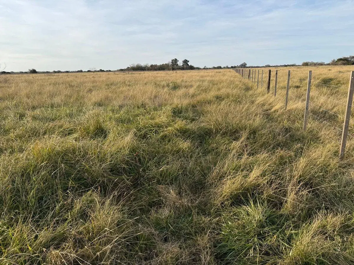 VENTA DE CAMPO EN ATALAYA MAGDALENA. 3
