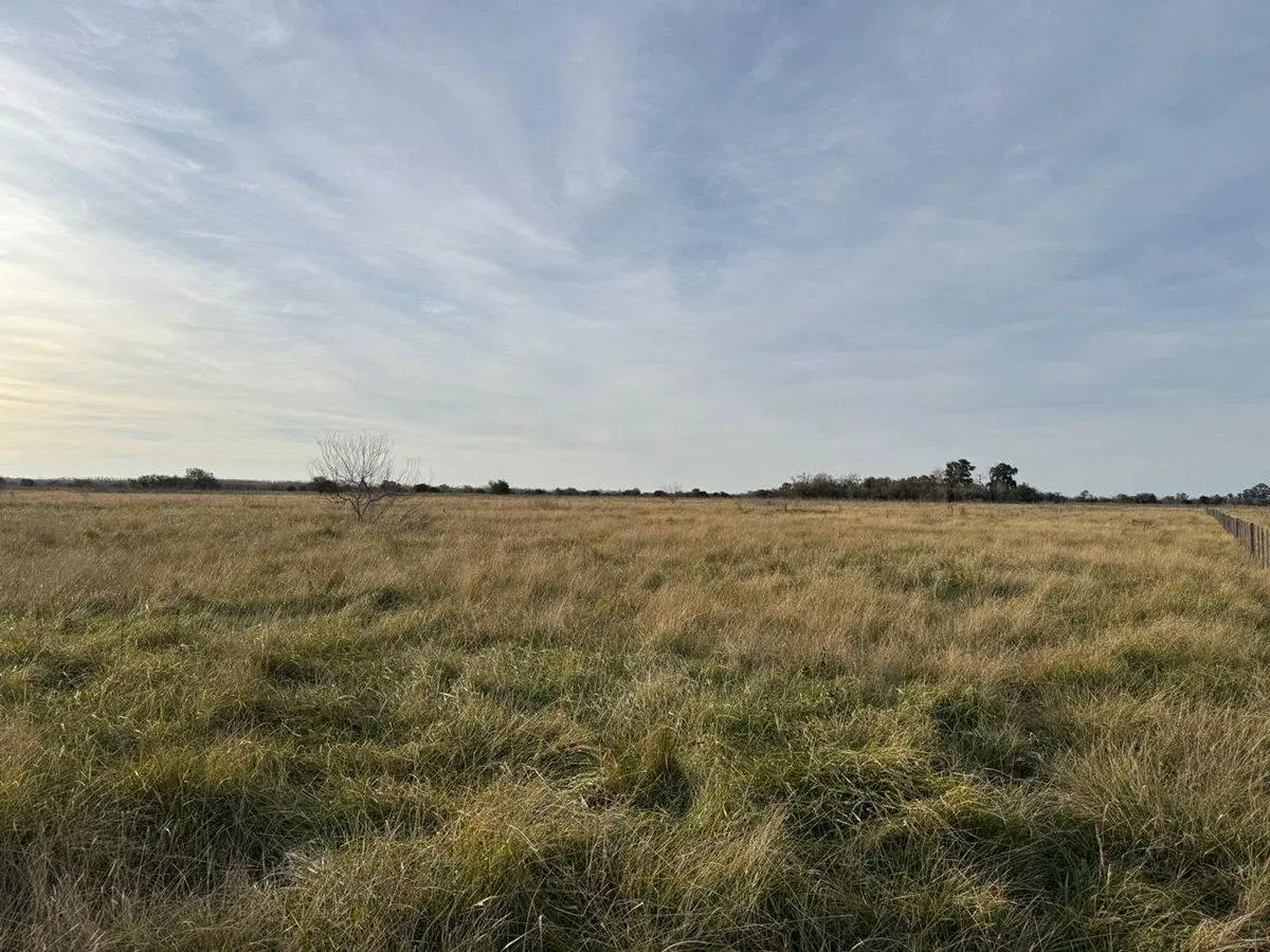 VENTA DE CAMPO EN ATALAYA MAGDALENA. 2