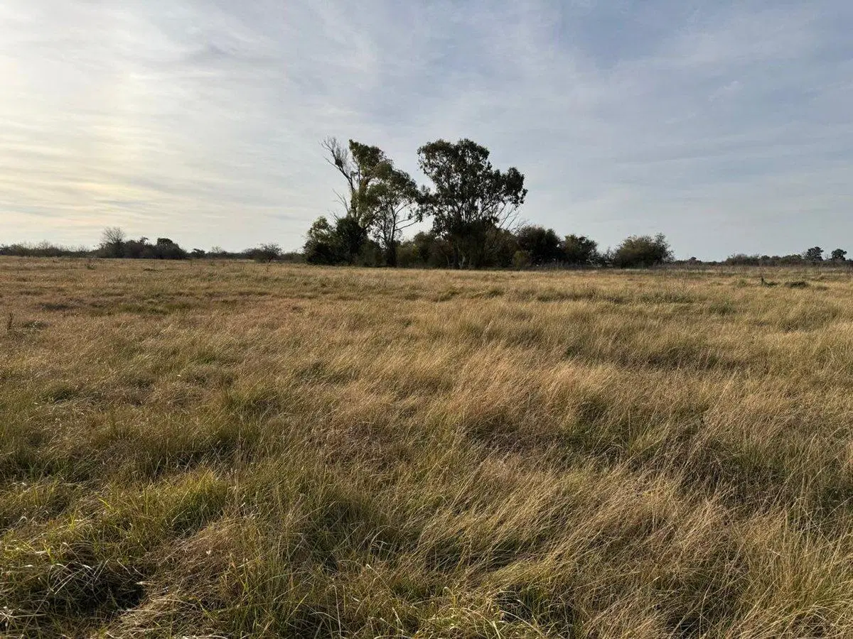 VENTA DE CAMPO EN ATALAYA MAGDALENA. 4