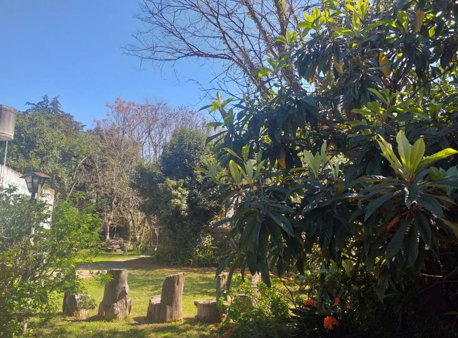 LOTE EN VENTA EN CITY BELL ENTRE CAMINOS 390m2 4