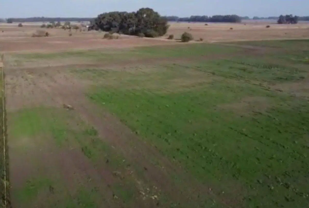 CAMPO EN VENTA EN LA PLATA 8 HECTAREAS 3
