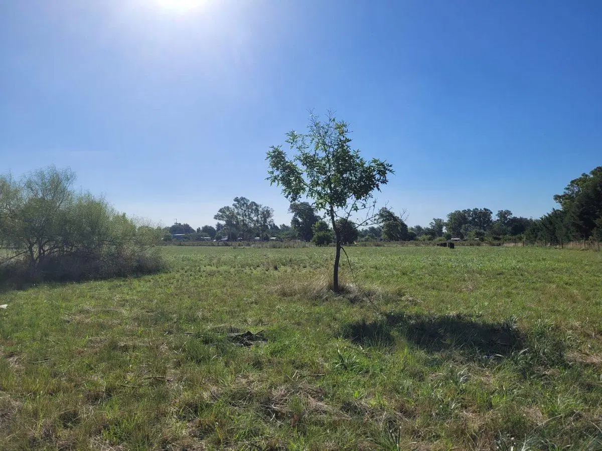 CAMPO EN VENTA LOS HORNOS HECTAREA Y 4000 M2 2