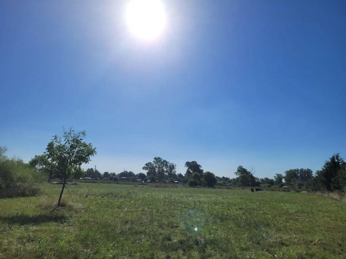 CAMPO EN VENTA LOS HORNOS HECTAREA Y 4000 M2 3