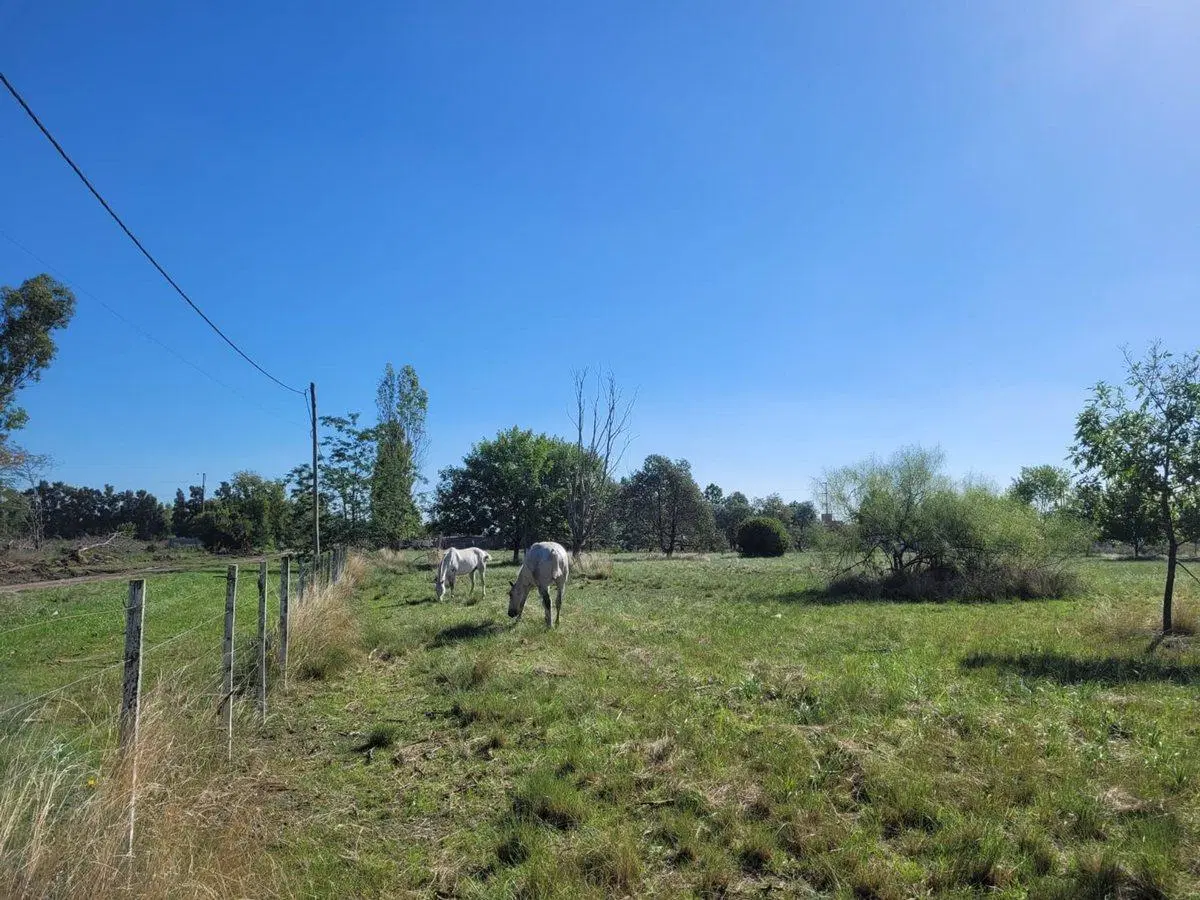 CAMPO EN VENTA LOS HORNOS HECTAREA Y 4000 M2 5