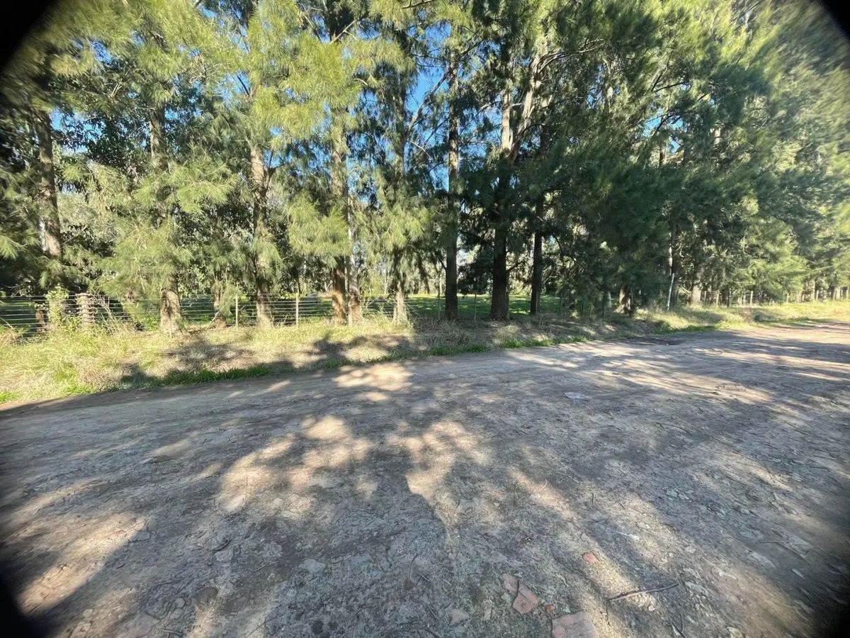 LOTE EN VENTA EN BRANDSEN LOCALIDAD GOMEZ 3