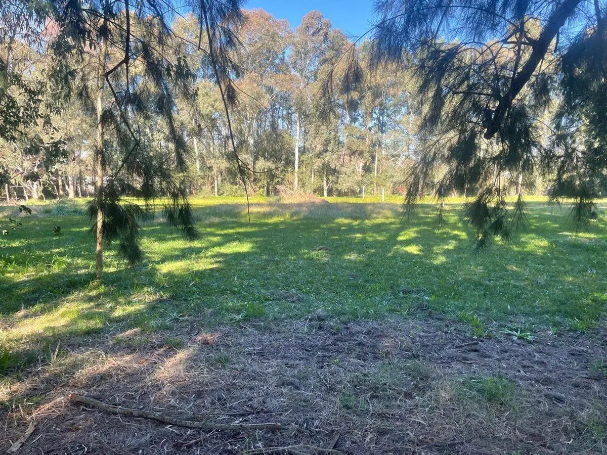 LOTE EN VENTA EN GOMEZ 4