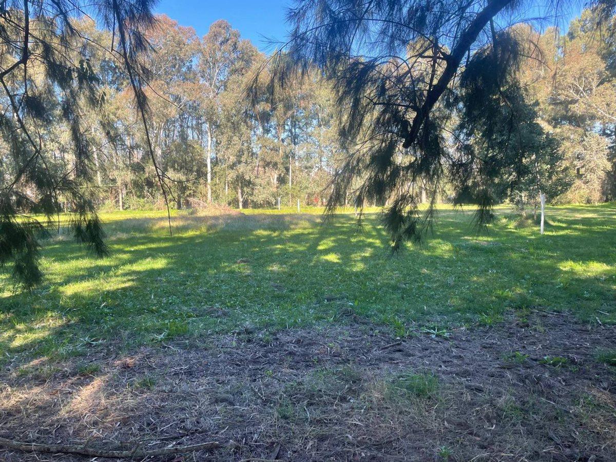 Foto de LOTE EN VENTA EN GOMEZ, imagen 1