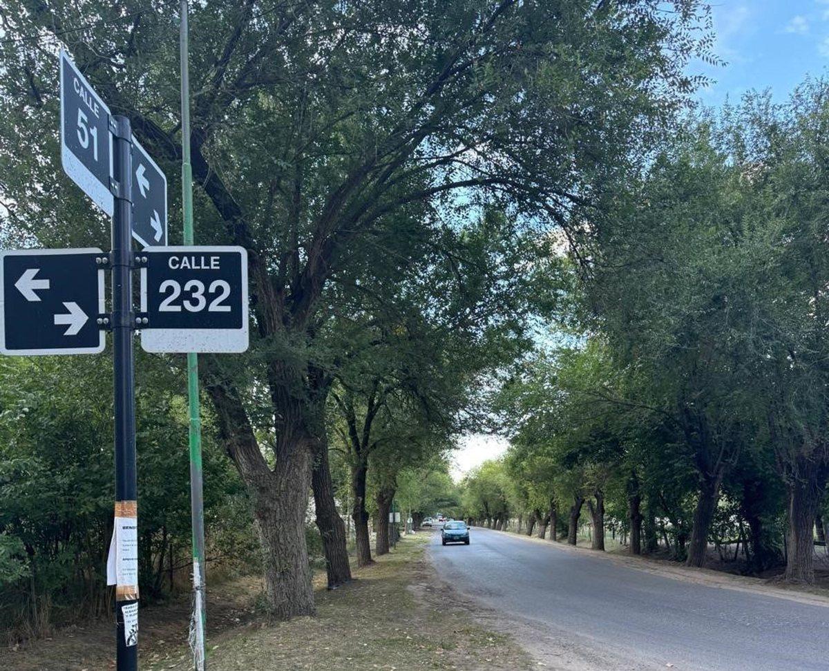 Foto de Lotes en Venta en Lisandro Olmos Etcheverry, imagen 5