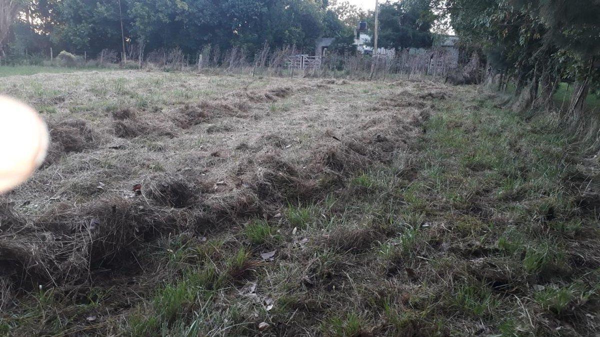 Foto de LOTE EN VENTA EN VIEYTES MAGDALENA, imagen 4