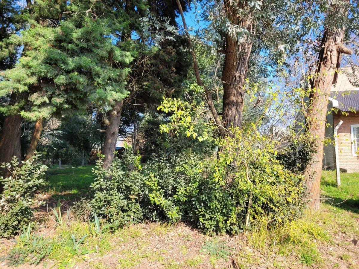 Foto de LOTE EN VENTA VILLA ELISA, imagen 1