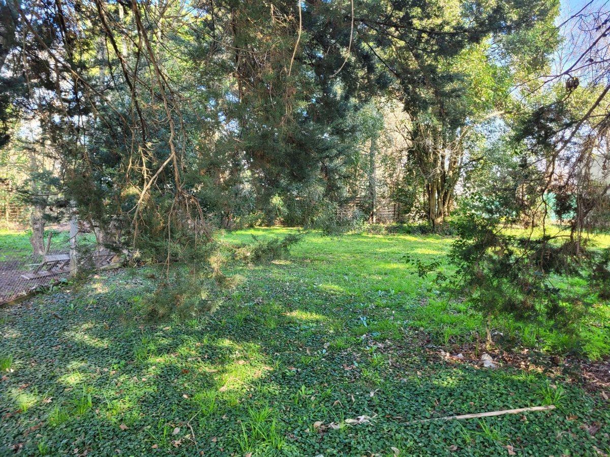 Foto de LOTE EN VENTA VILLA ELISA, imagen 4