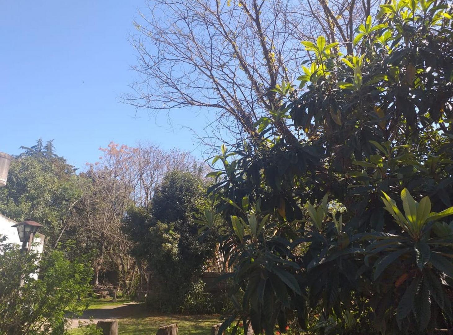 Foto de LOTE EN VENTA EN CITY BELL ENTRE CAMINOS 390m2, imagen 2