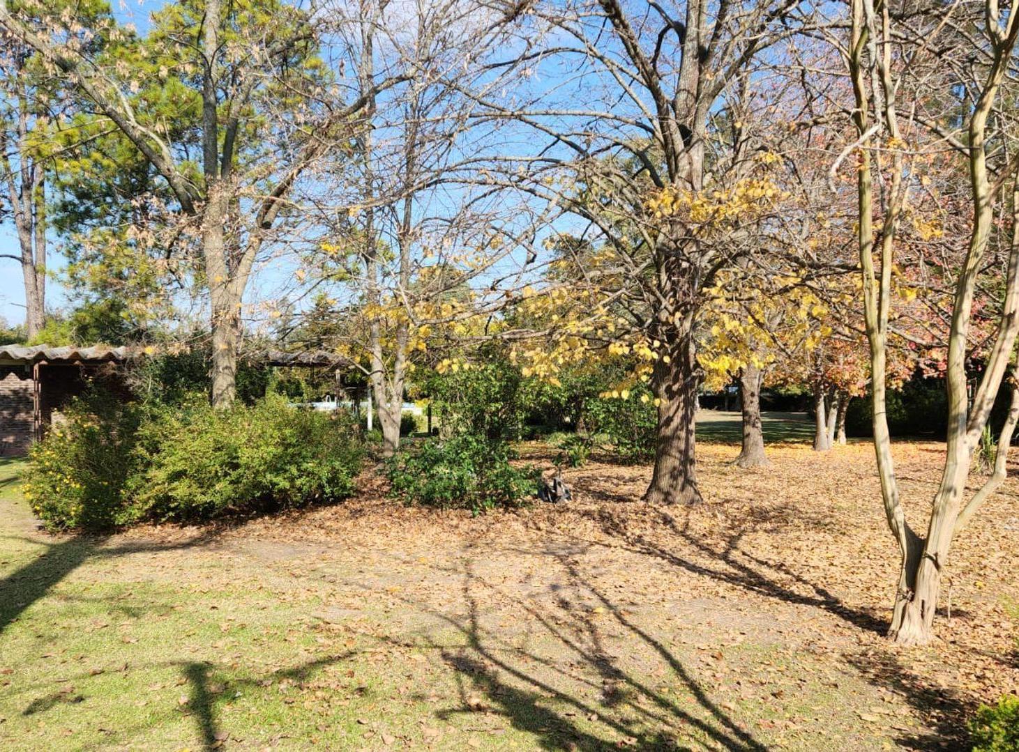 Foto de QUINTA EN VENTA VILLA ELISA 2 DORMITORIOS, imagen 4