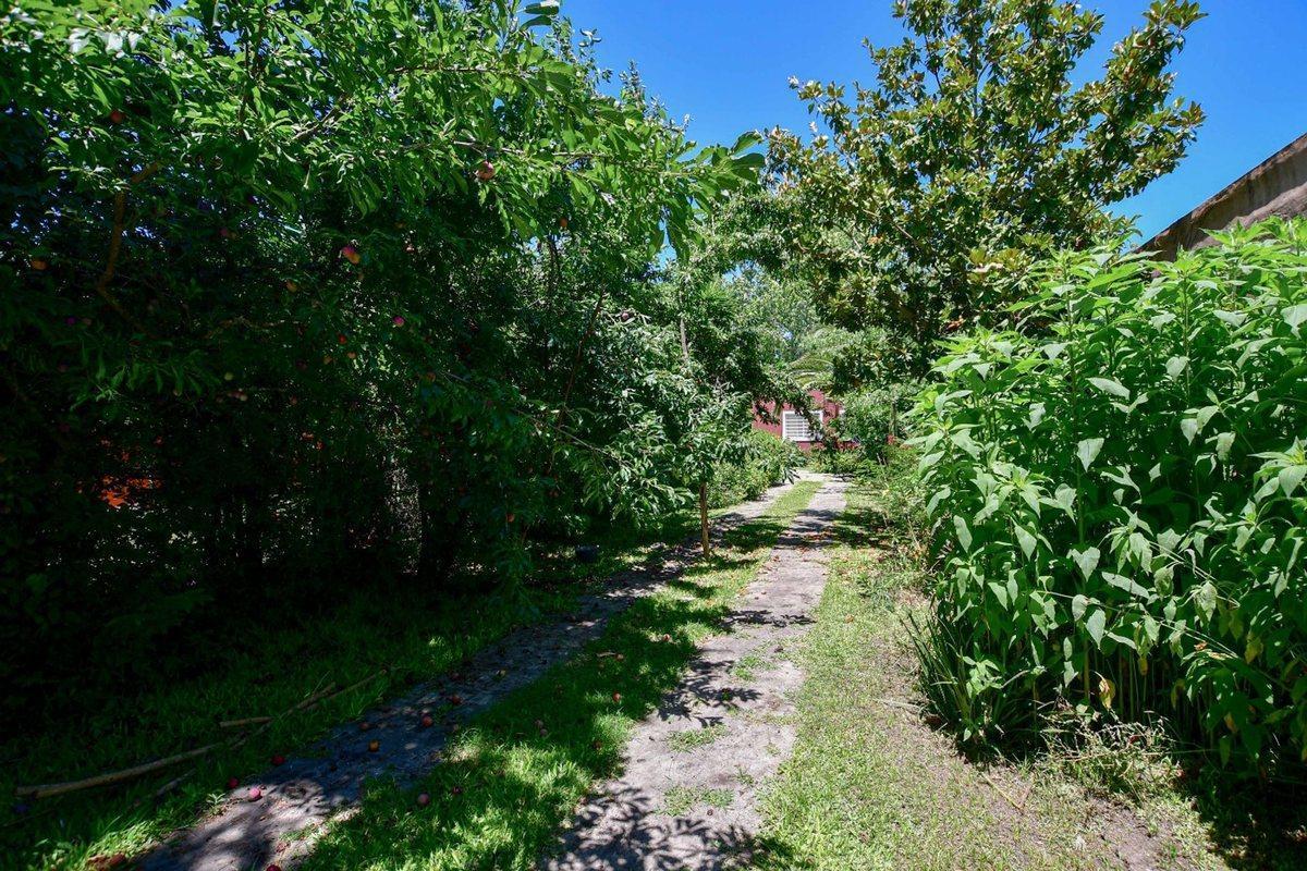 Foto de TERRENO EN VENTA EN SICARDI, imagen 4