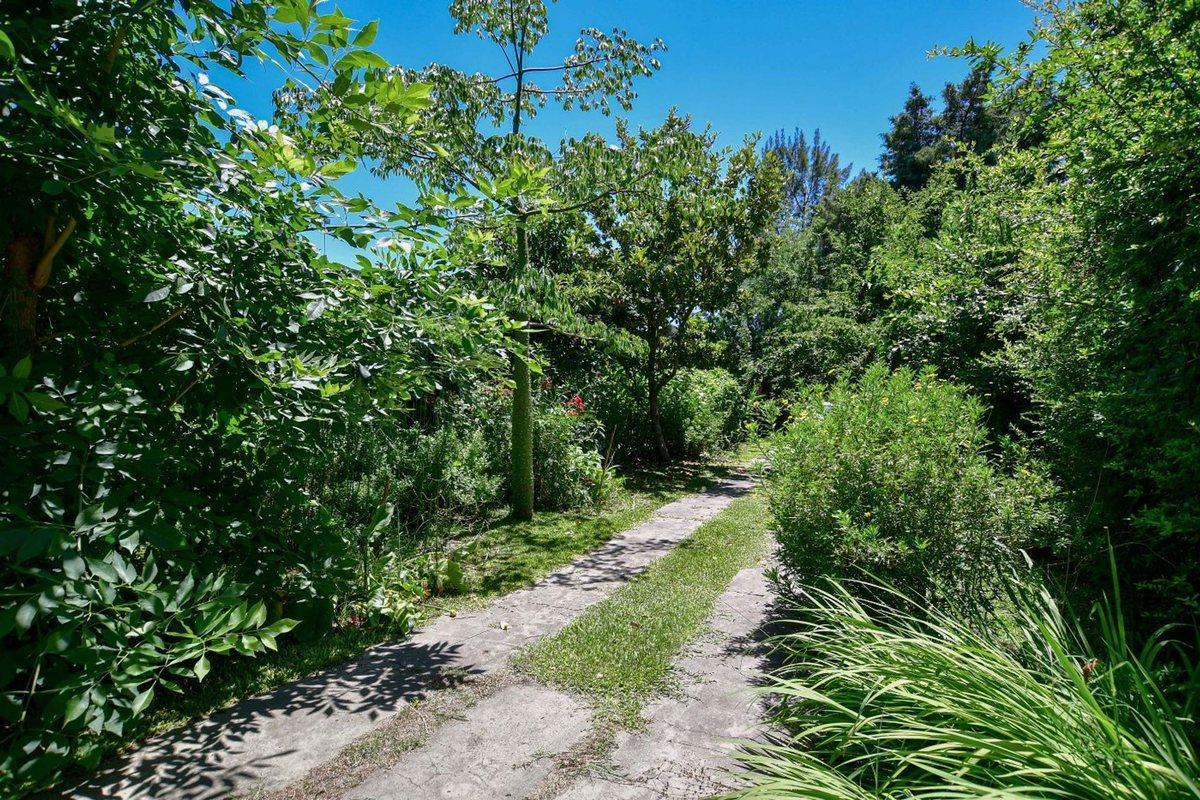 Foto de TERRENO EN VENTA EN SICARDI, imagen 3