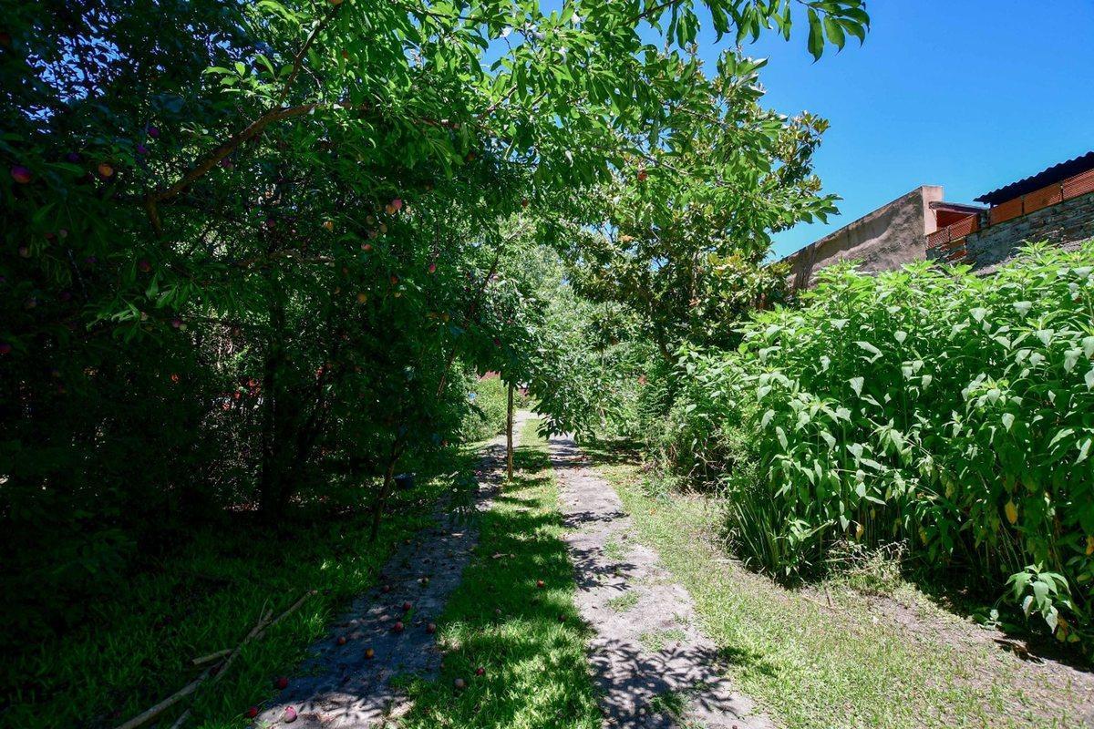 Foto de TERRENO EN VENTA EN SICARDI, imagen 2