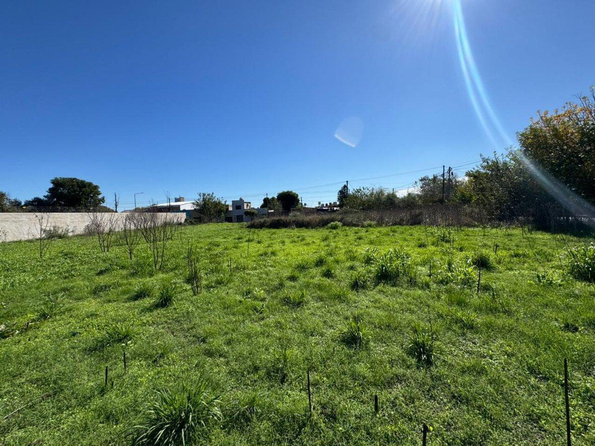 Foto de LOTE EN VENTA PARA DESARROLLO LA PLATA, imagen 2