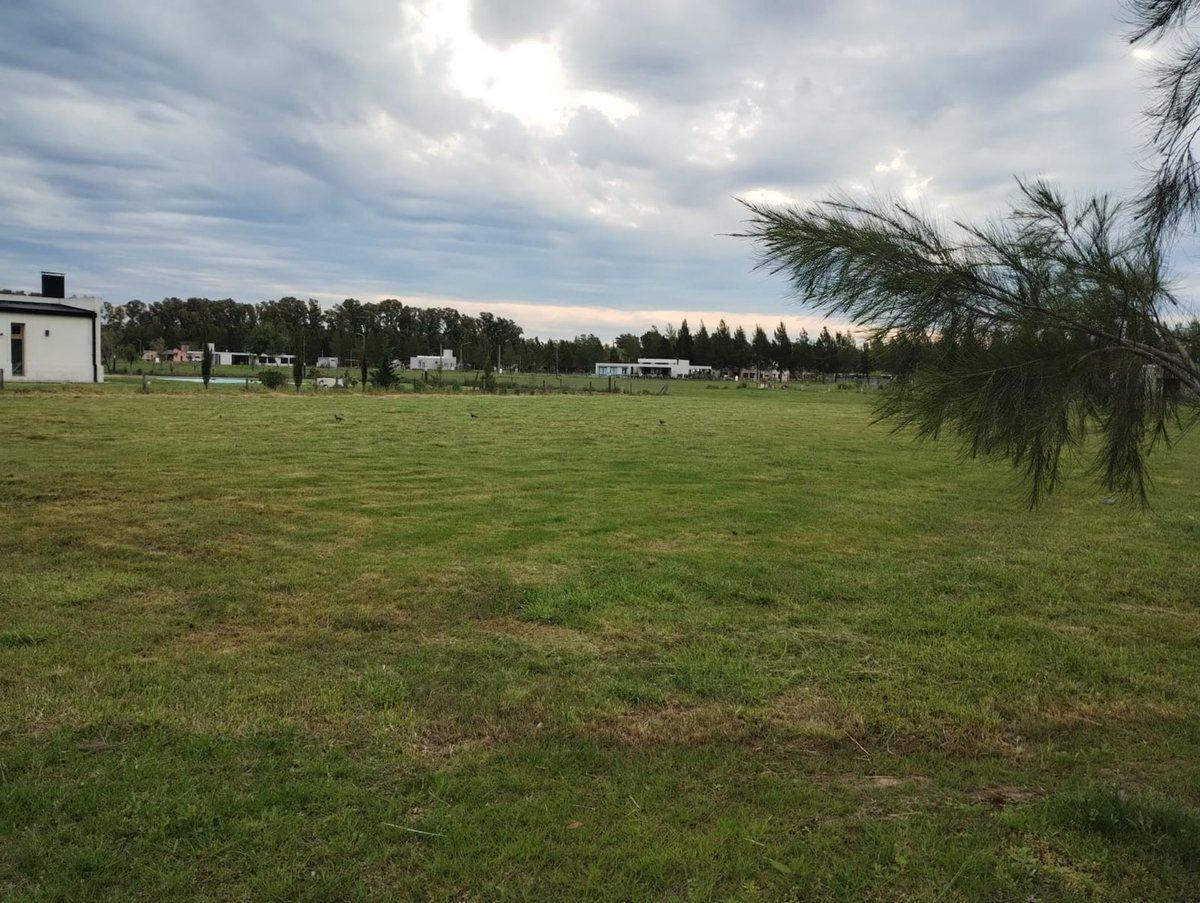 Foto de LOTE EN VENTA EN CAMPO DE ROCA ll, imagen 3