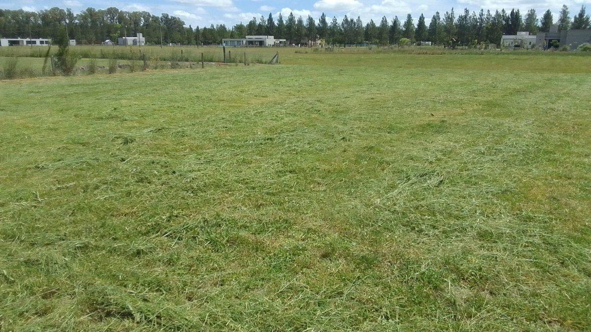 Foto de LOTE EN VENTA EN CAMPO DE ROCA ll, imagen 1