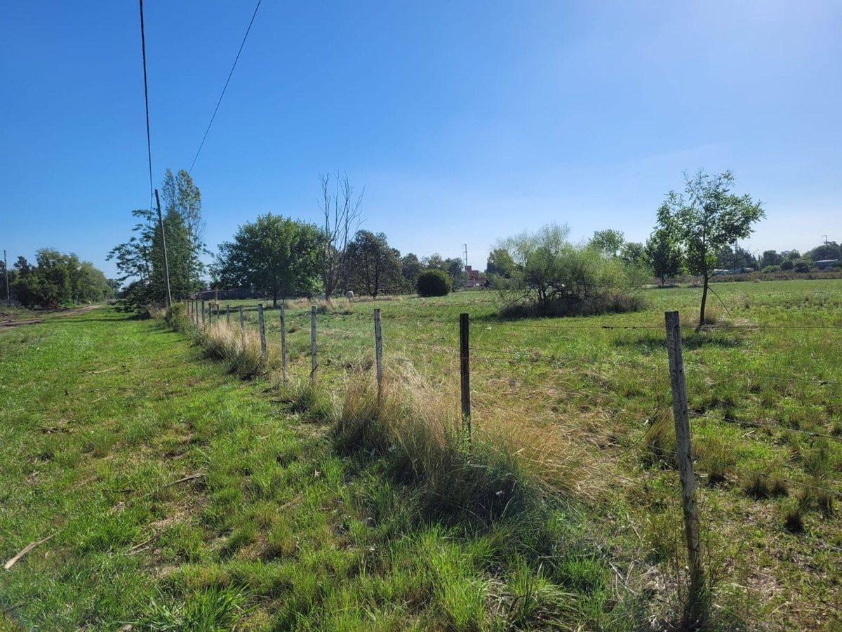 Foto de CAMPO EN VENTA LOS HORNOS HECTAREA Y 4000 M2, imagen 4