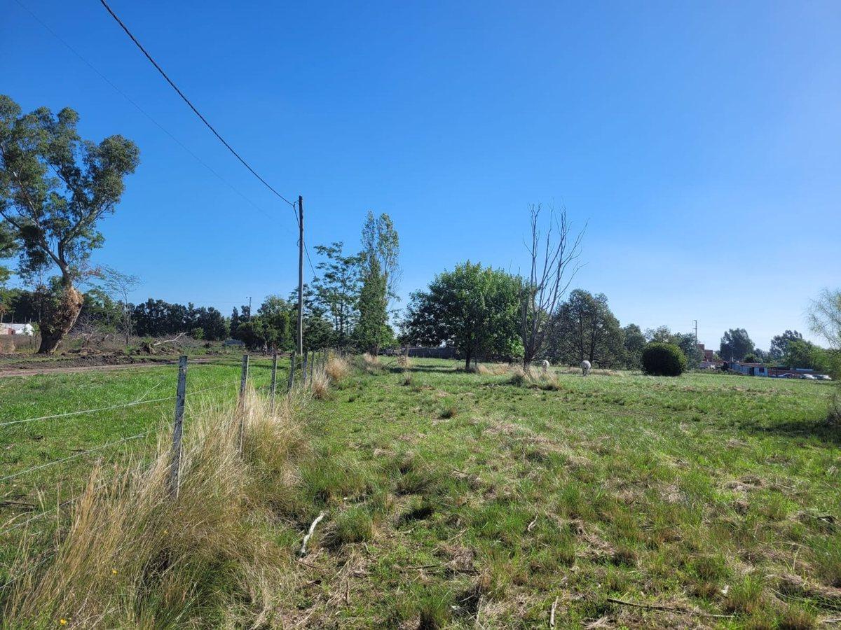 Foto de CAMPO EN VENTA LOS HORNOS HECTAREA Y 4000 M2, imagen 5