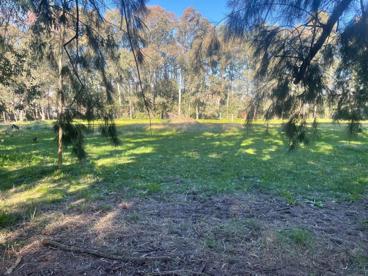 Foto de LOTE EN VENTA EN GOMEZ, imagen 2