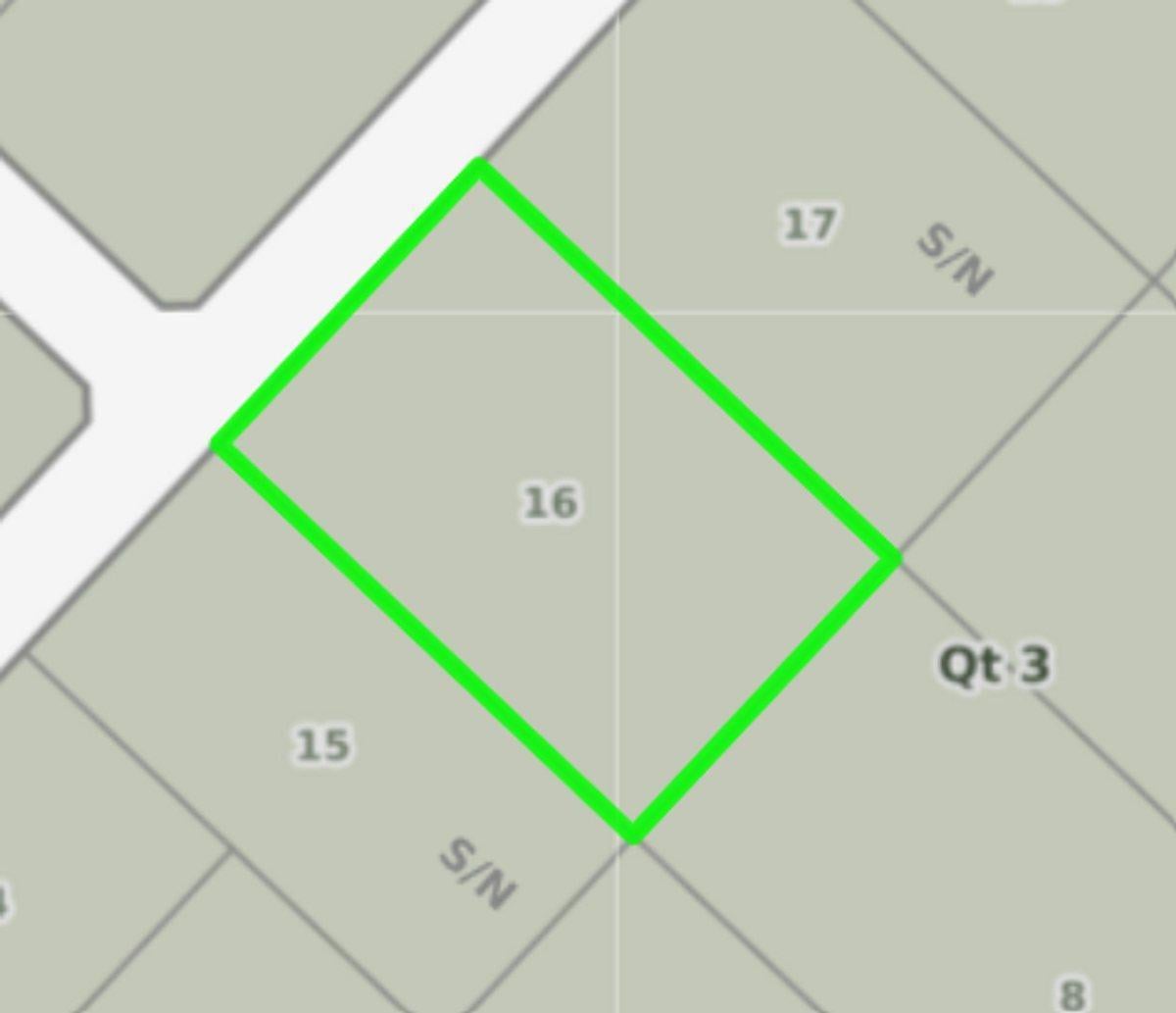 Foto de LOTE EN VENTA EN BRANDSEN LOCALIDAD GOMEZ, imagen 5
