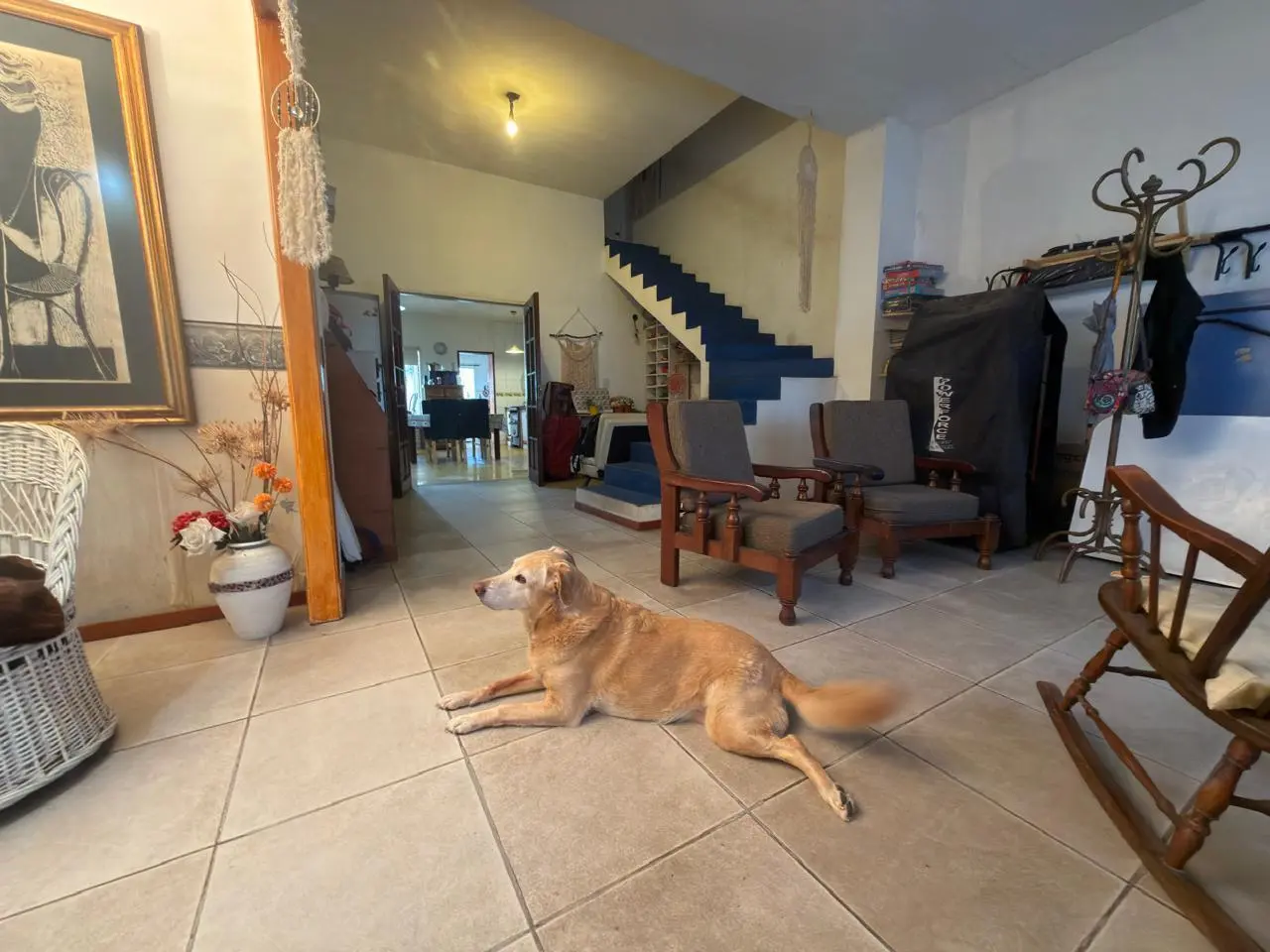 Casa en Villa Devoto, lote propio con gran parque, una maravilla en la zona! UBICACION PRIVILEGIADA 8