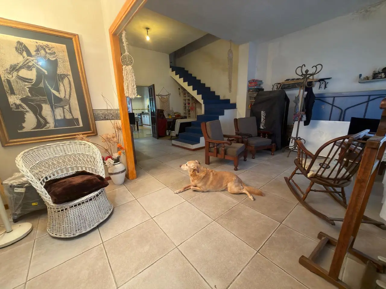 Casa en Villa Devoto, lote propio con gran parque, una maravilla en la zona! UBICACION PRIVILEGIADA 3