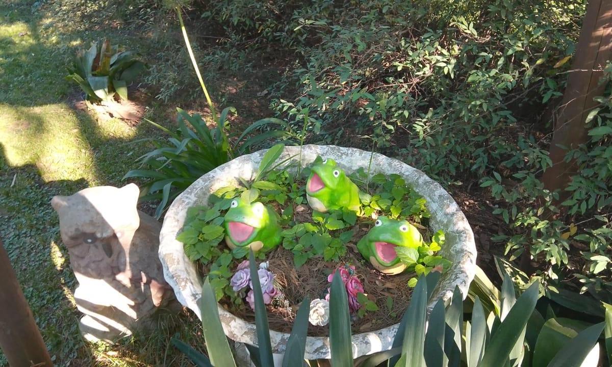 Hermosa Casa Quinta - Zona Merlo - Oportunidad Unica 3