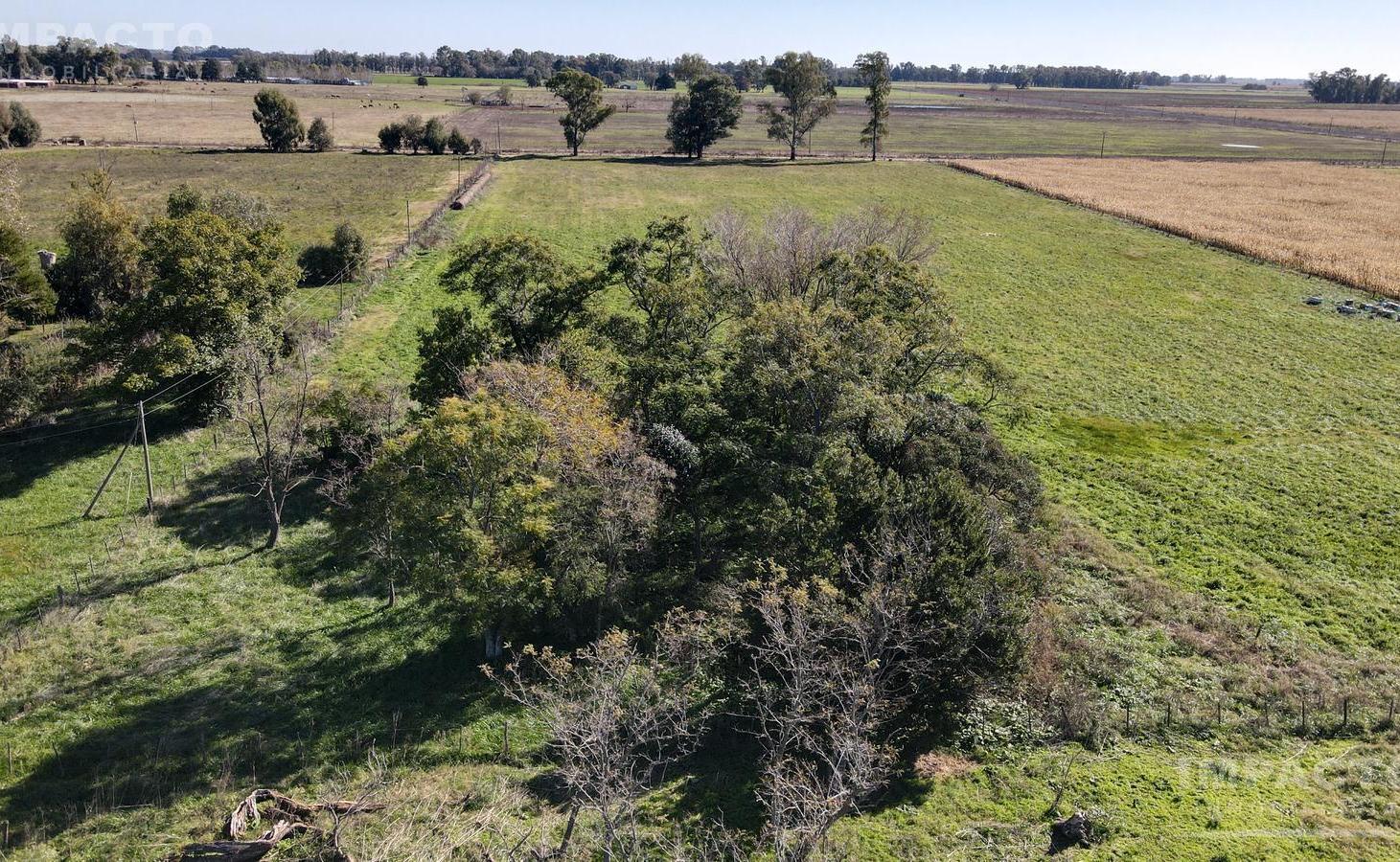 Foto de En venta Chacra de 7,6 hectáreas en Lobos, imagen 1