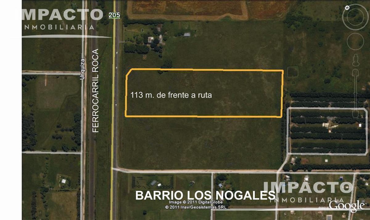 Foto de En venta Chacra 5,3 hectáreas en Cañuelas, imagen 3