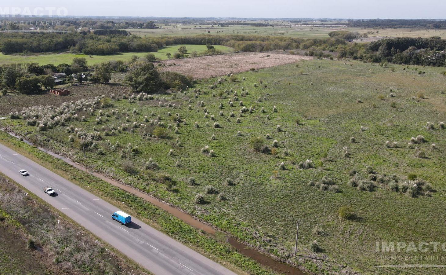 Foto de En venta Chacra 5,3 hectáreas en Cañuelas, imagen 4