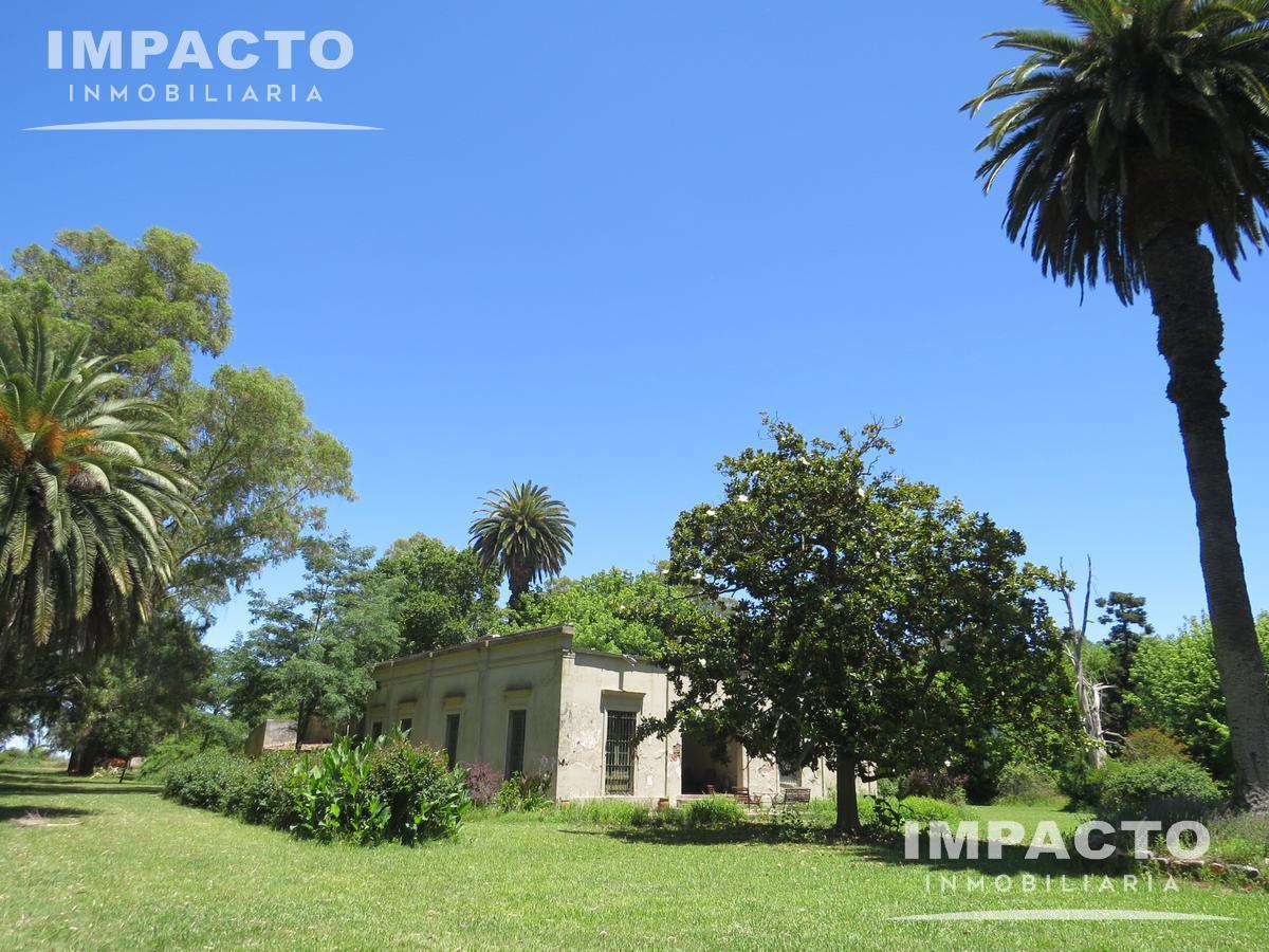 Foto de En Venta Campo Ganadero 338 hectáreas en Navarro, Buenos Aires, imagen 1