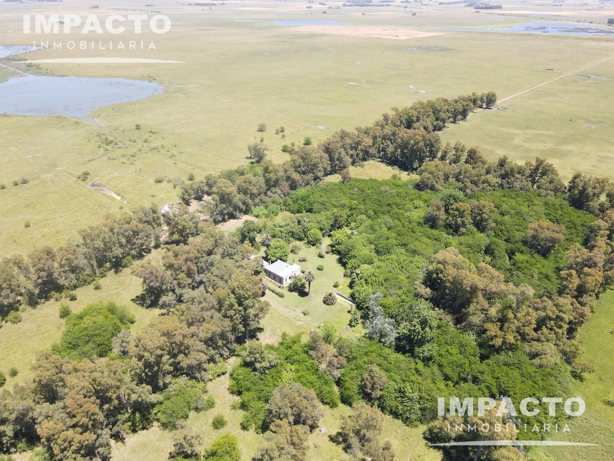 Foto de En Venta Campo Ganadero 338 hectáreas en Navarro, Buenos Aires, imagen 2