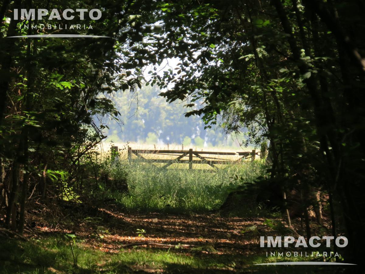 Foto de En Venta Campo Ganadero 338 hectáreas en Navarro, Buenos Aires, imagen 4