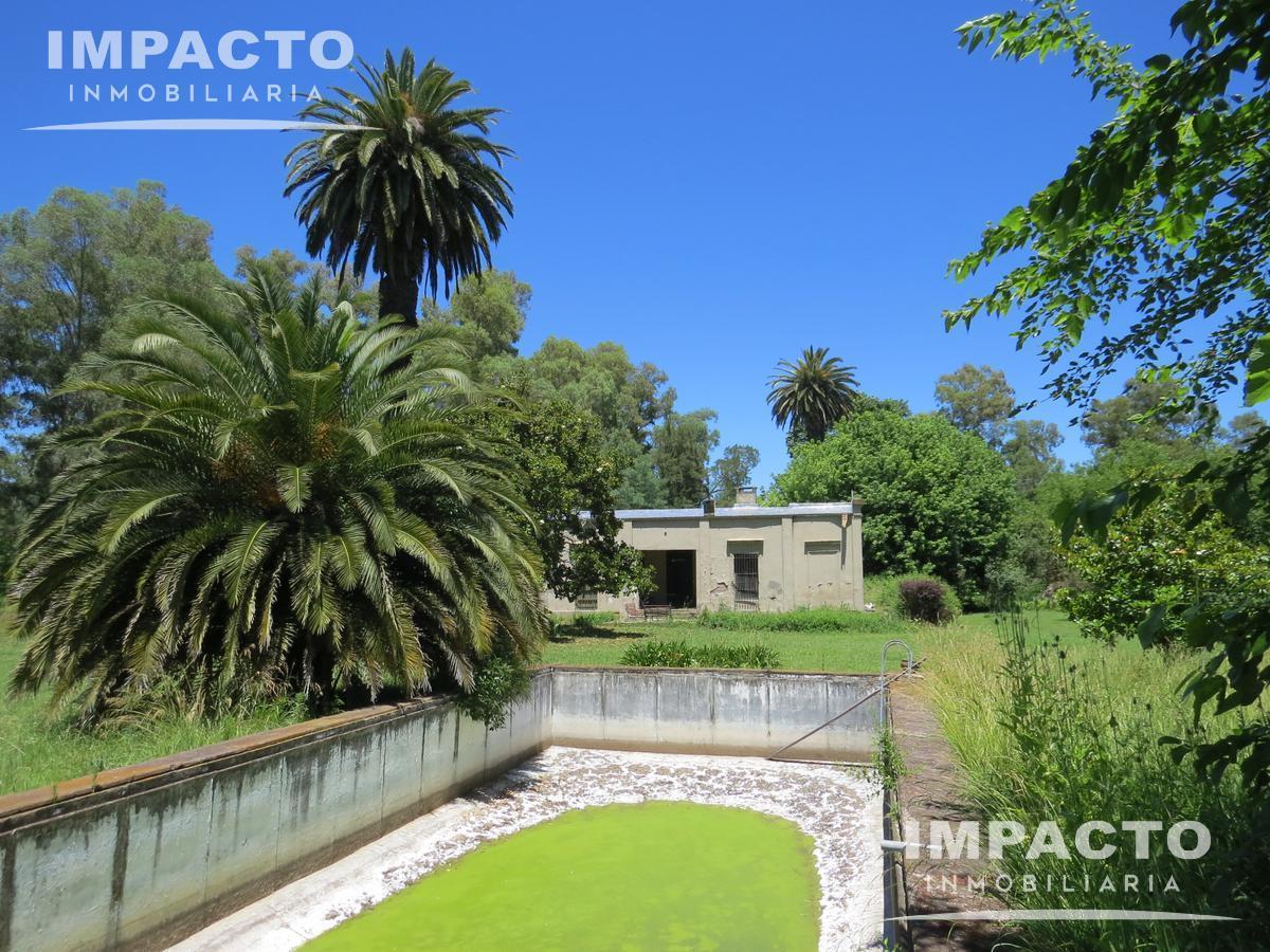 Foto de En Venta Campo Ganadero 338 hectáreas en Navarro, Buenos Aires, imagen 3