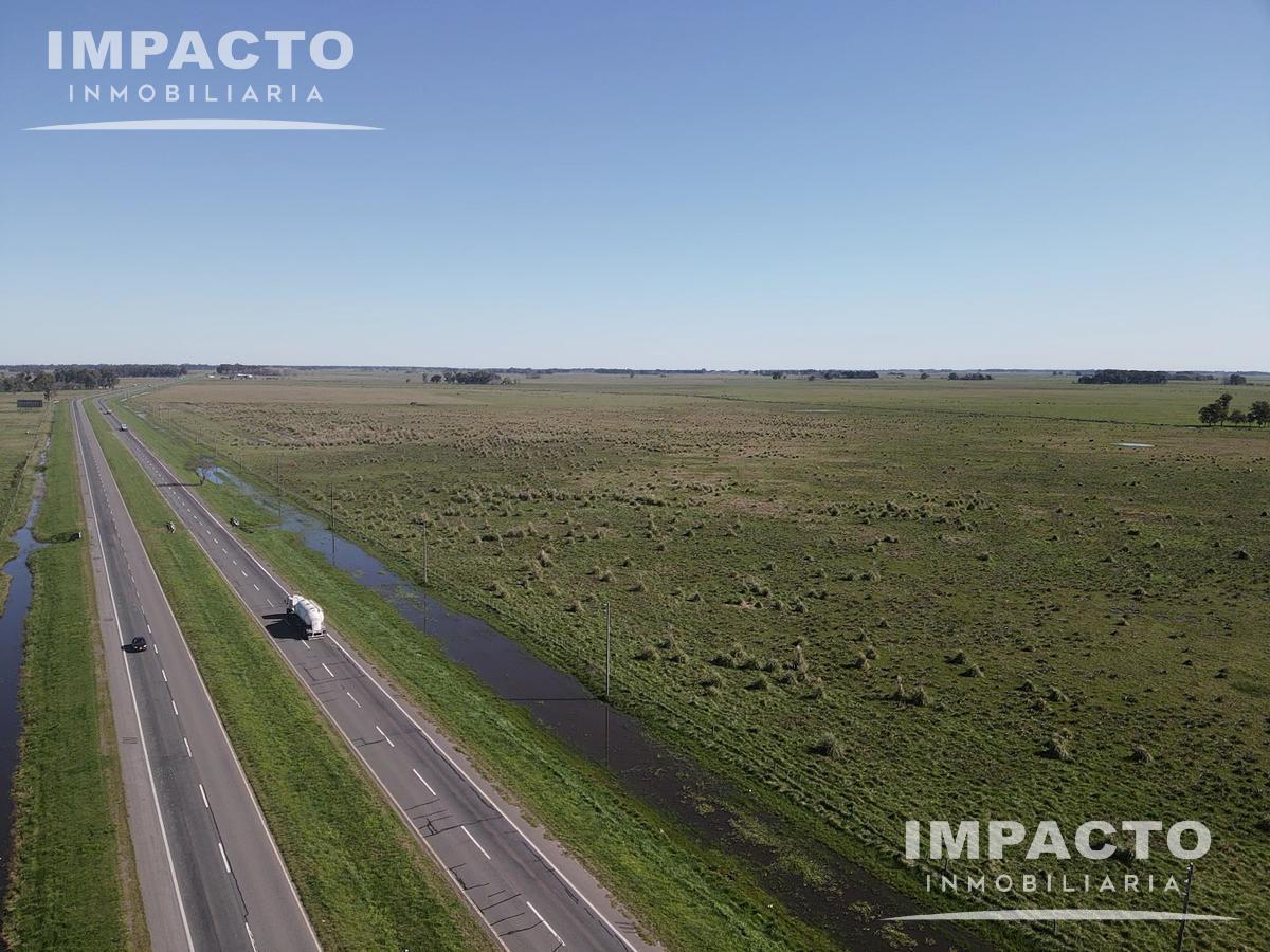 Foto de En venta Campo Ganadero 105,6 hectáreas en Cañuelas, imagen 5