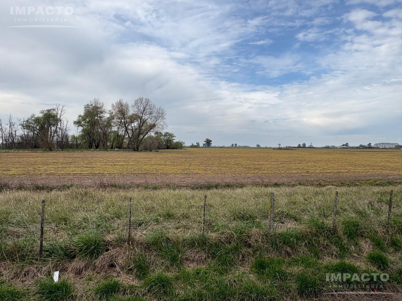 Foto de Campo de 33.3 hectáreas AGRICOLAS en 25 de Mayo, imagen 3