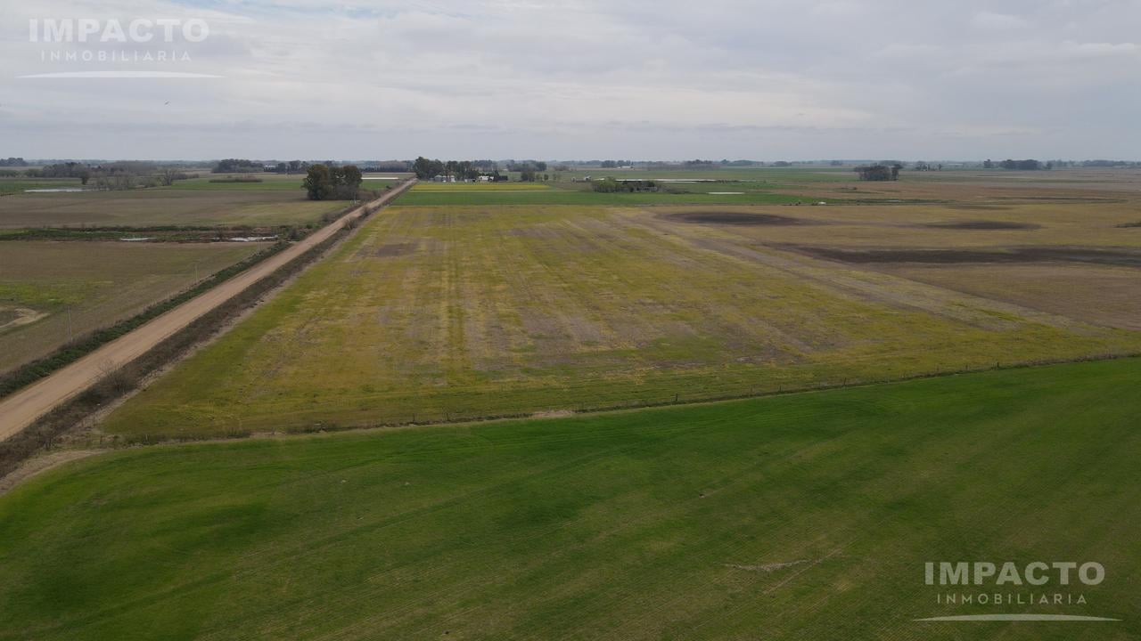 Foto de Campo de 33.3 hectáreas AGRICOLAS en 25 de Mayo, imagen 5